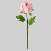 SMYCKA Artificial Flower, Peony/Pink, 30